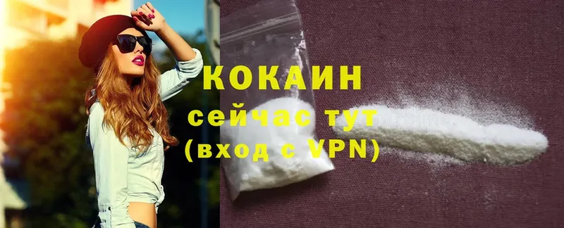 COCAIN FishScale  даркнет сайт  Удомля 